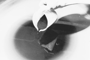 1972-scuola-grafica28