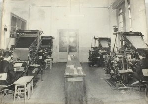 storia313